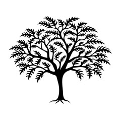 Obraz premium chicle-tree-silhouette