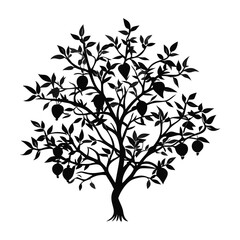 citrus-tree-silhouette