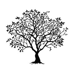 clove-tree-silhouette
