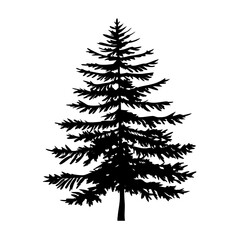 douglas-fir-tree-silhouette