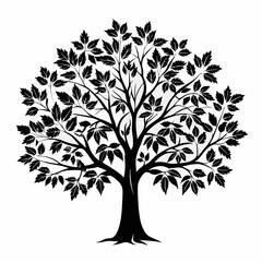 Obraz premium hedge-maple-tree-silhouette