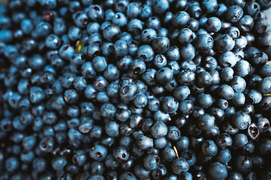 Blueberries