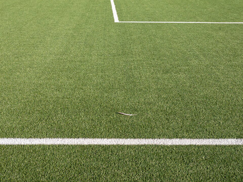 football field