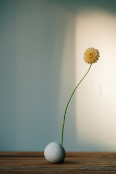 Minimalist Flower Arrangement with Round Stone