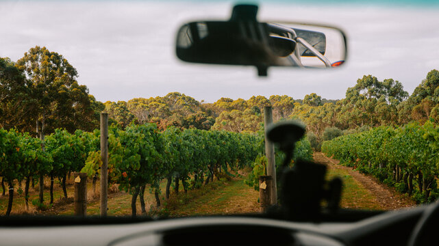 Margaret River Vinyards