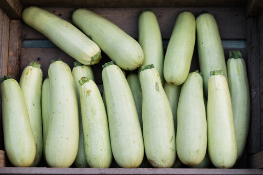 Fresh zucchini squashes in a wooden crate on display.