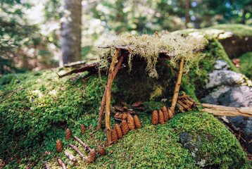 Fairy House in the Forest Made of Natural Materials