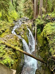 Sol Duc waterfall in the Olympic National Park forest