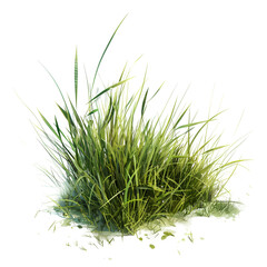 Green Grass Meadow Clipart Vector Illustration