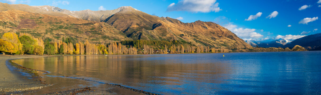 Wanaka Lake foreshore
