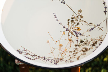 Reflection of dry flowers in bowl of water outside
