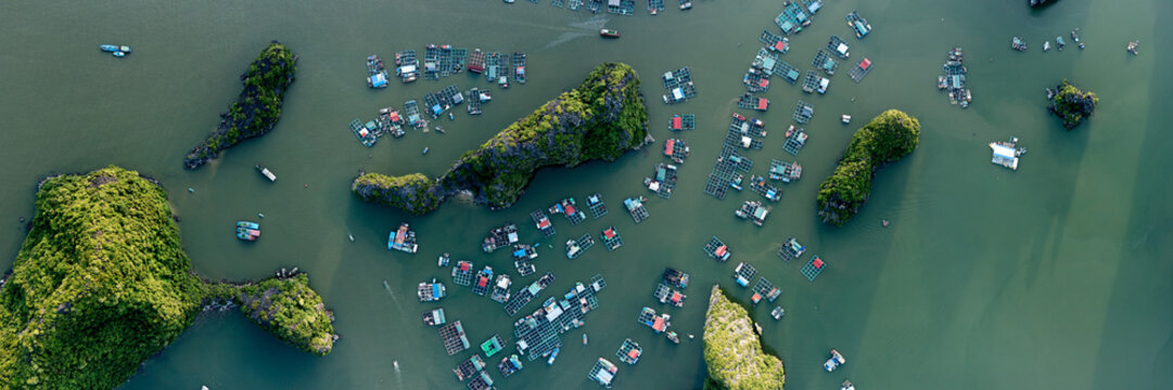 Lan Ha Bay Ha Long Vietnam