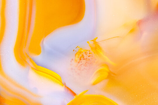 Detail Of A Beautiful Orange Brazilian Agate  