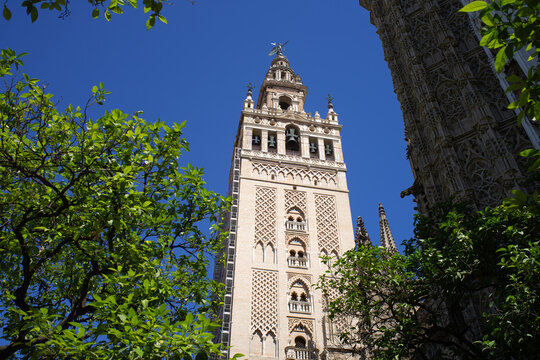 Giralda, Seville