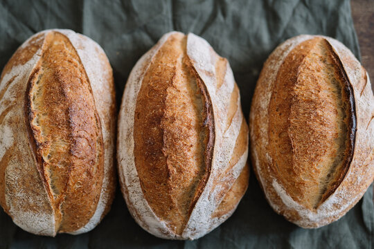 Three artisanal loaves of bread lined on green fabric