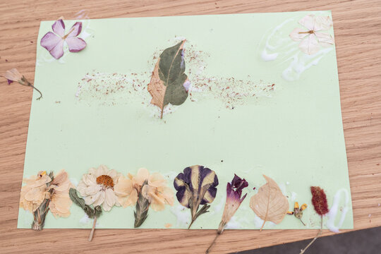 Nature Craft Project With Leaves and Flowers on Green Paper