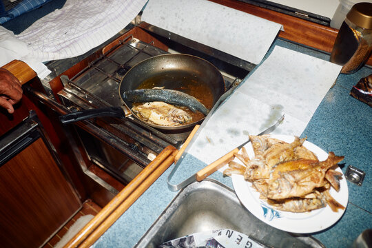 Pan-fried fish on board