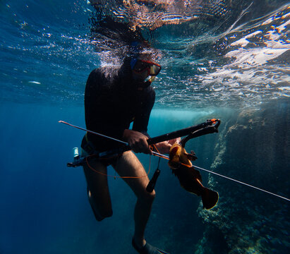 Diver caught a fish with harpoon