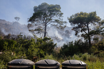 Protect the environment