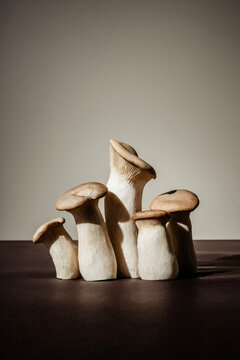 Naklejki Mushroom concept