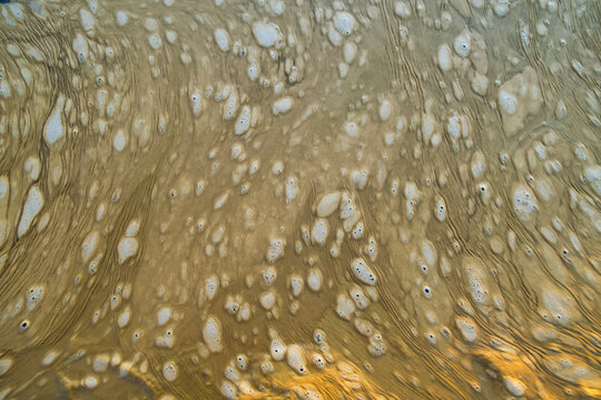Brown, floating foam on surface of tide pool water