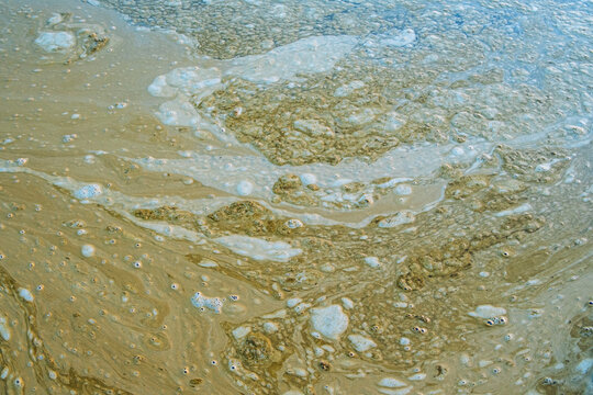 Brown, floating foam on surface of tide pool water