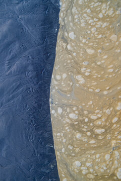 Brown, floating foam on surface of tide pool water