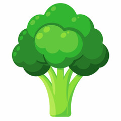 broccoli-vector