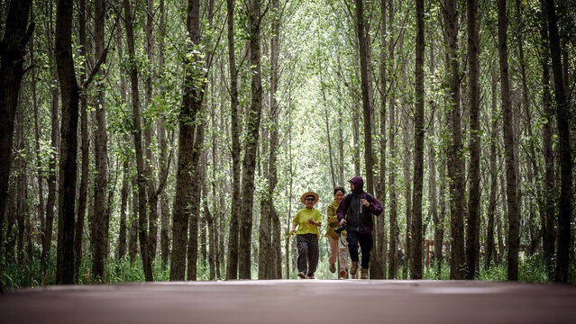 Chinese family playing in the primeval forest