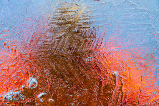 Frozen red leaf closeup