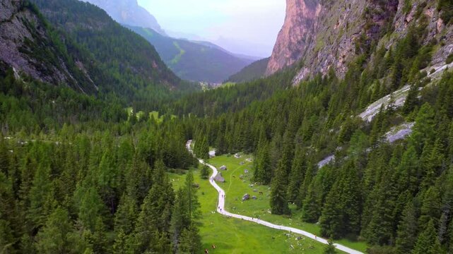 Path through lush green meadows and dense alpine forest Vallunga valley, with towering cliffs, Bolzano Province, South Tyrol, Italy