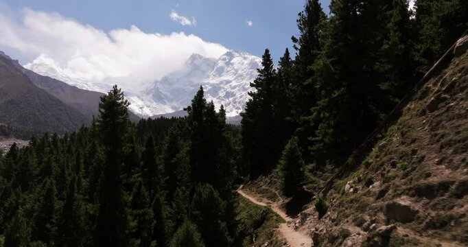 Drone Flying through Pine Forest Reveals Amazing Nanga Parbat Mountain. Pakistan