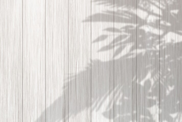 背景イラスト_木漏れ日