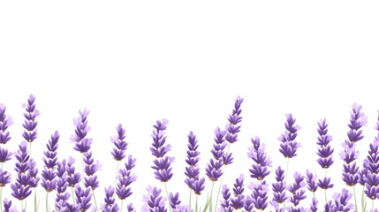 Elegant Lavender Greeting Card Design