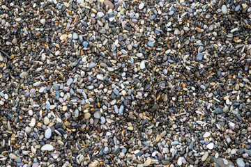 sea pebbles as a background