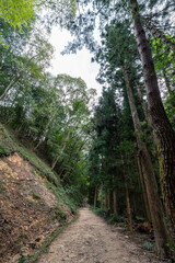 Nakasendo hiking trail