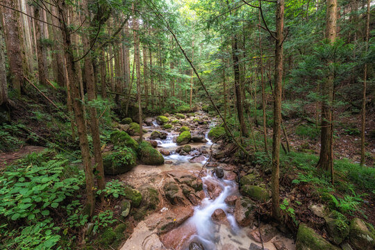 Small stream near Nakasendo Trail