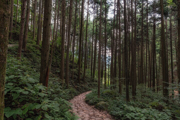 Nakasendo hiking trail