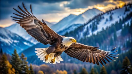 Stunning Drawings of Bald Eagles in Flight Capturing the Majesty of Nature and Wildlife Art