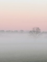 A soft, misty morning sky with pastel tones of pink and blue, with the fog rising from the fields and trees barely visible in the distance
