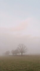 A soft, misty morning sky with pastel tones of pink and blue, with the fog rising from the fields and trees barely visible in the distance
