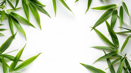 Naklejka premium Bamboo leaves border white background, zen green nature eastern frame