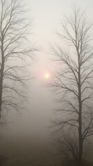 A quiet morning with a misty sky, the sun rising slowly and casting a gentle glow through the fog, creating an ethereal atmosphere
