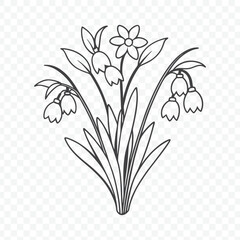 Floral Bunch with Snowdrop Line Art Vector Design Featuring Elegant Snowdrop Flowers and Beautiful Detailing