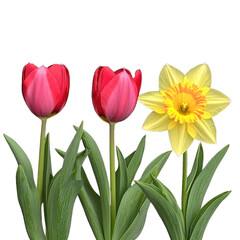 Naklejka premium Colorful Spring Flower Arrangement