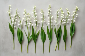 An overhead view of delicate lily of the valley flowers arranged neatly on a textured surface