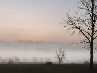 Fototapeta premium A tranquil scene of a misty sky at dawn, with the landscape partially obscured by fog and the soft light of morning breaking through 