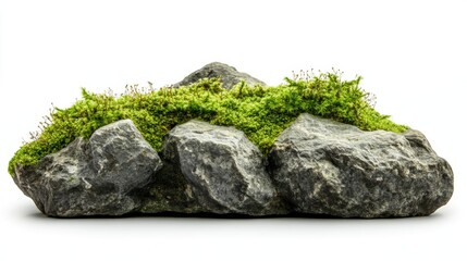 A natural rock formation adorned with vibrant green moss, perfect for enhancing landscapes or nature-themed projects.