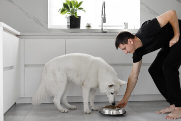 Young Man Feeding His Dog. White Swiss Shepherd dog eating dry food from a metal bowl in a modern...