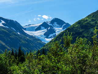 Portage Alaska Landscape in Summer